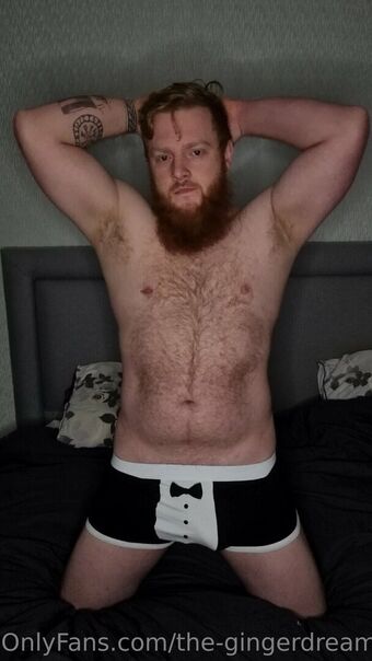 the-gingerdreamsicle