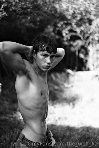 the_wolf_ka