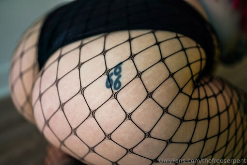 thefreeserpent Foto Desnuda Filtrada OnlyFans 9