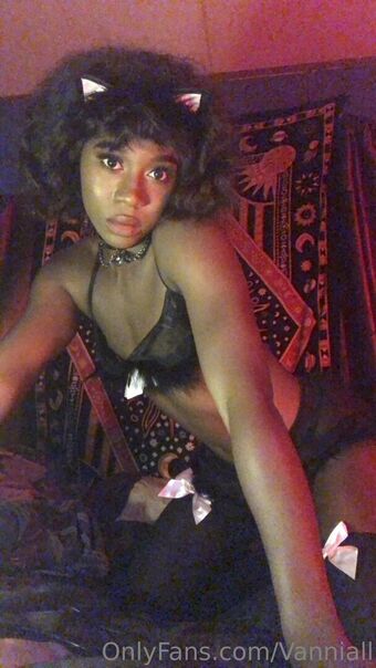 vanniallfree