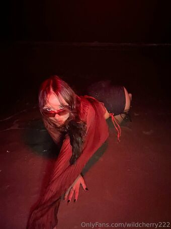wildcherry222 Foto Desnuda Filtrada OnlyFans 18