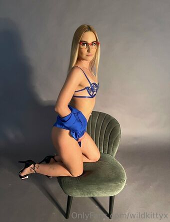 wildkittyx Foto Desnuda Filtrada OnlyFans 15