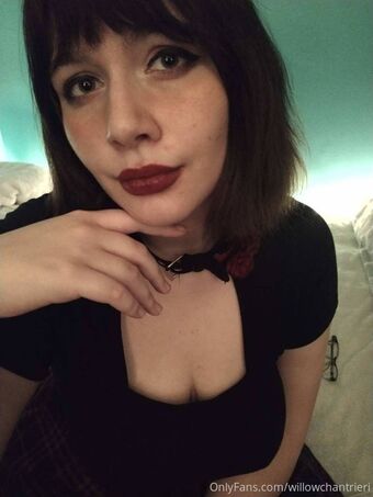willowchantrieri