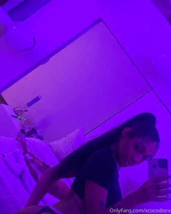 xcocodiorx