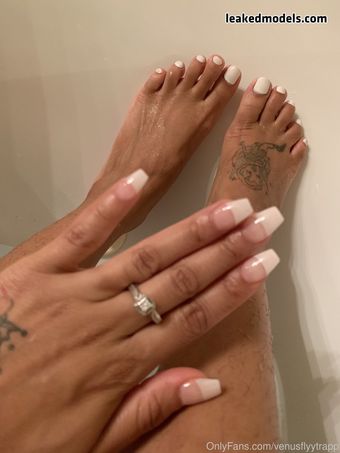 Venusflyytrapp